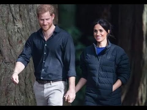 „Ich kann nicht glauben, dass ich nicht bezahlt werde“: Meghan Markle „hat den Punkt des Rundgangs n