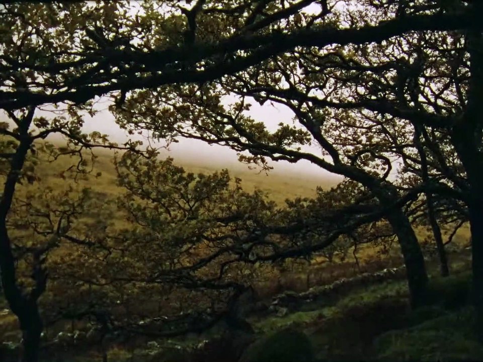 Devon | movie | 2020 | Official Clip - video Dailymotion