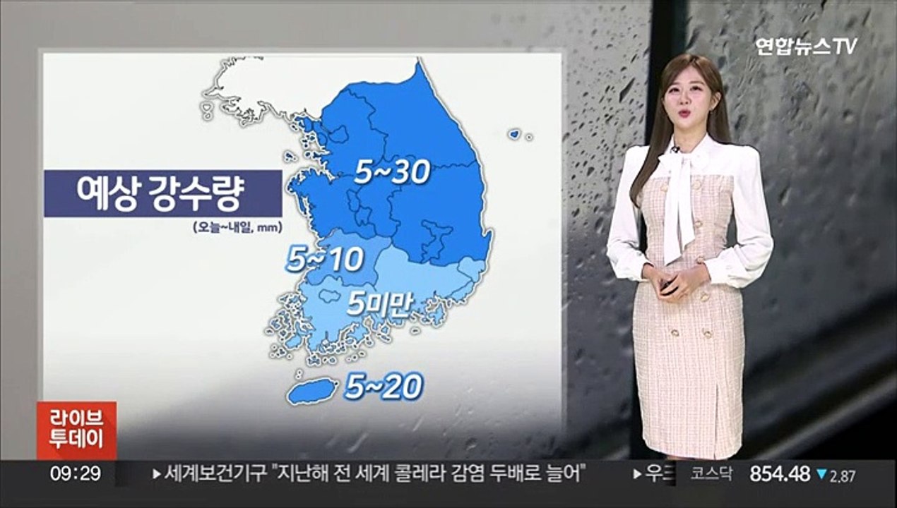 [날씨] 오늘 흐리고 밤부터 전국 비…모레까지 오락가락 이어져