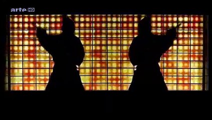 Ninjas guerriers de l'ombre