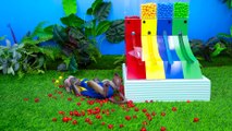 KiKi Monkey playing Giant Colorful Gumball Vending Machine with Cute Baby _ KUDO ANIMAL KIKI