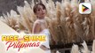 TALK BIZ | Kathryn Bernardo, itinanghal bilang Outstanding Asian start sa Seoul International...