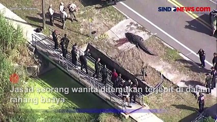 Wanita Asal Florida Ditemukan Tewas di Rahang Buaya