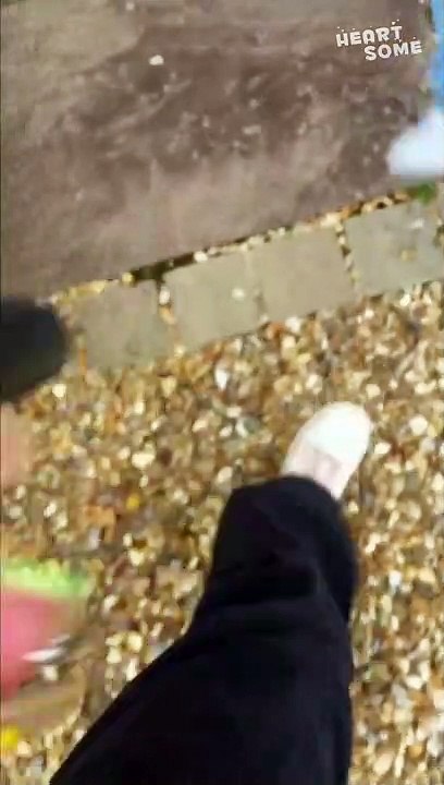 Best Friends Reunited: An Emotional 5-Month Separation Ends || Heartsome 