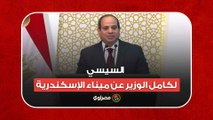 السيسي لكامل الوزير عن ميناء الإسكندرية: يخلص 2025 مش 2030 حتى لو أنا مش معاكم