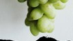4 amazing benefits of grapes