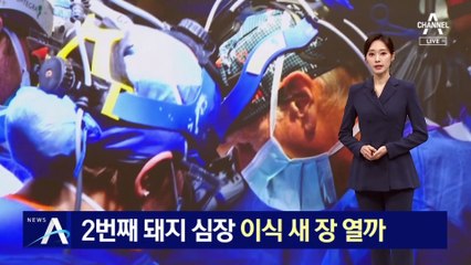 2번째 돼지 심장 이식…장기이식 새 장 열까