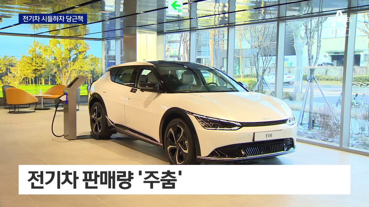 전기차 시들하자 ‘당근책’…보조금 최대 100만 원 지원