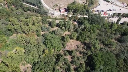 Eymir Kuş Halkalama İstasyonu'nda 5 yılda 12 bin kuş halkalandı