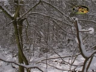 La Forêt de Soignes sous la neige (musical)