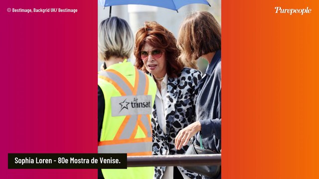 Sophia Loren victime d'une violente chute : l'actrice hospitalisée en urgence, plusieurs fractures à déplorer