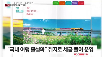 [단독]휴가 지원금으로 TV 사고 마사지 받고