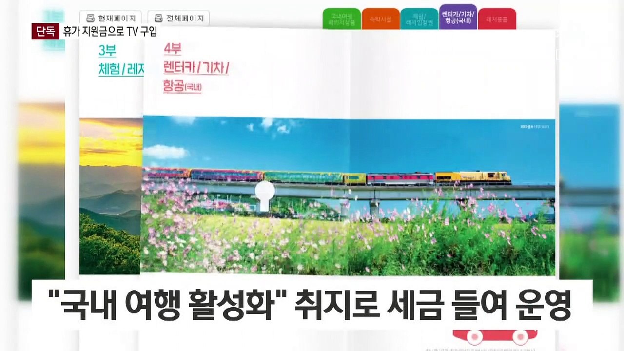 [단독]휴가 지원금으로 TV 사고 마사지 받고