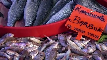 Bilecik'te Hamsi Bolluğu: Fiyatı 80 Liradan Satılıyor