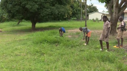 Les élèves mis à contribution dans l'entretien des écoles de la région du Gbeke