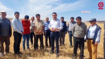 Çiftçi Hasan Hüseyin Çetinkaya: Kuraklık nedeniyle yüzde 70-80 verim kaybım var ama TARSİM yüzde 6 hasar verdi