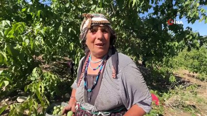 Kahramanmaraş'ta üretildi, ABD'ye rakip oldu: Avrupa ve Ortadoğu ülkelerine ihracat ediliyor!