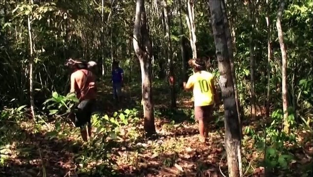 Connaissance du Monde : Brésil - Les pépites vertes Bande-annonce VF