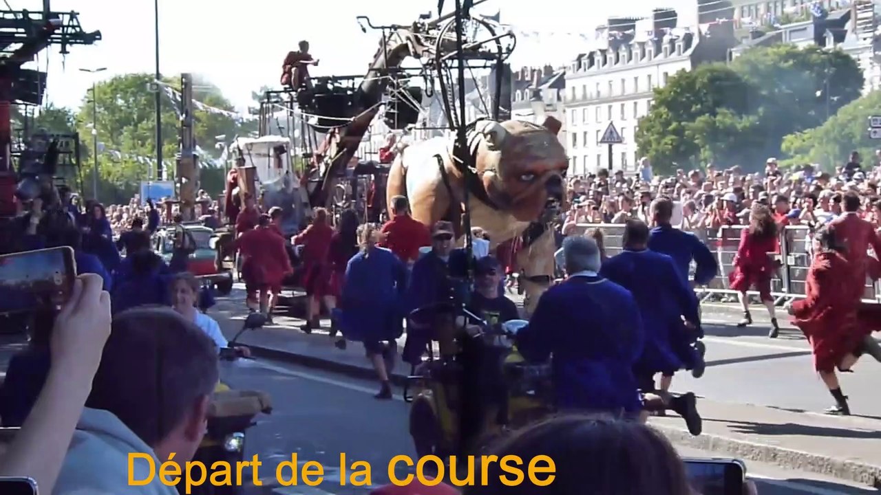 Royal de Luxe - Dimanche course chiens Bull Machin -El Xolo