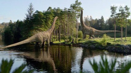 La vida en nuestro planeta - Tráiler oficial en español