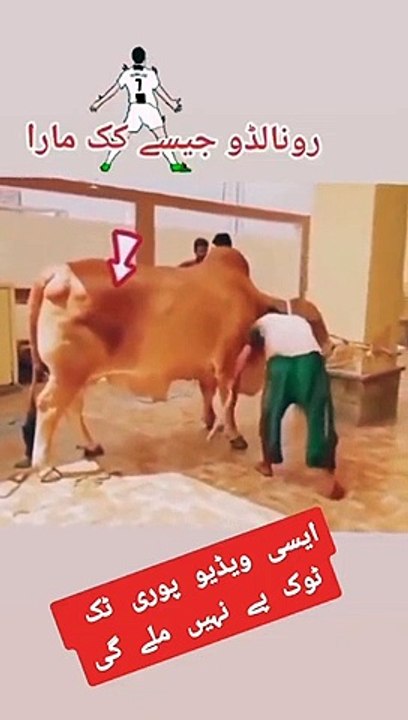 Wrost funny 