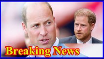 Prince William still reeling from the painful loss of Prince Harry did not meet during the brief