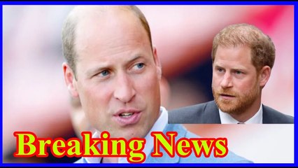 Prince William still reeling from the painful loss of Prince Harry did not meet during the brief