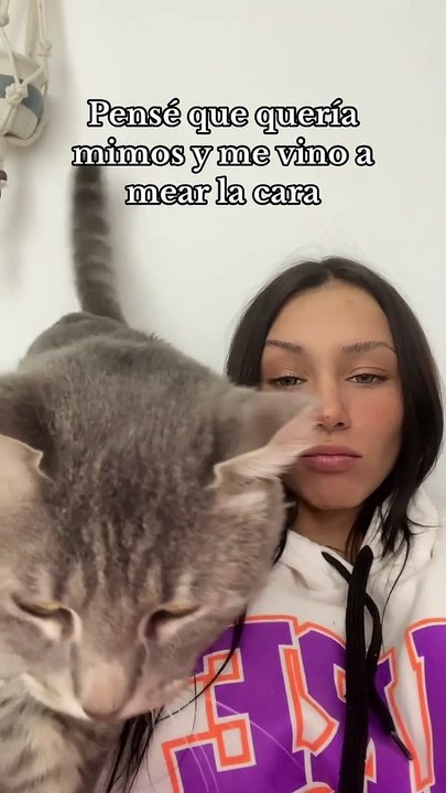 Cat Suddenly Sprays Owner