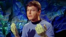Star Trek: 10 Things You Didn't Know About Dr Leonard 'Bones' McCoy