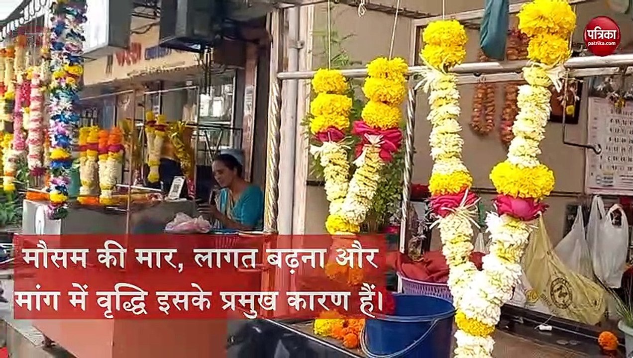 (Ganeshotsav 2023 Surat) गणेशोत्सव की धूमधाम में फल-फूलों के दामों में तेजी से बढ़ोतरी