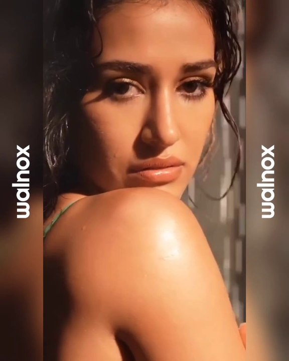 Disha Patani Sets the Internet Ablaze in Sleek Calvin Klein Co-ords!