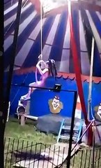 Artista despenca durante apresentação em circo; assista