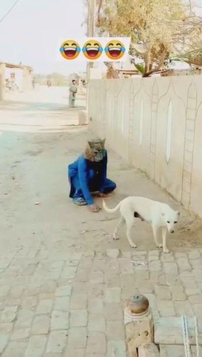 Funny Video