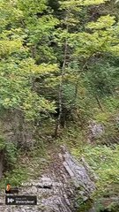 The Music Maverick Who Ditches Lyrics for Pure Magic!"