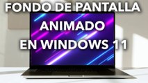 Cómo usar fondos de pantalla animados en Windows 11