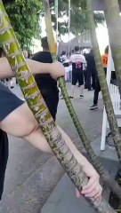 Homem que furtou celular de ídolo do São Paulo é preso