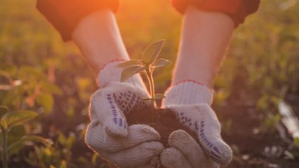 UK farmers predict empty shelves as they call on help from supermarket bosses with pricing pressure