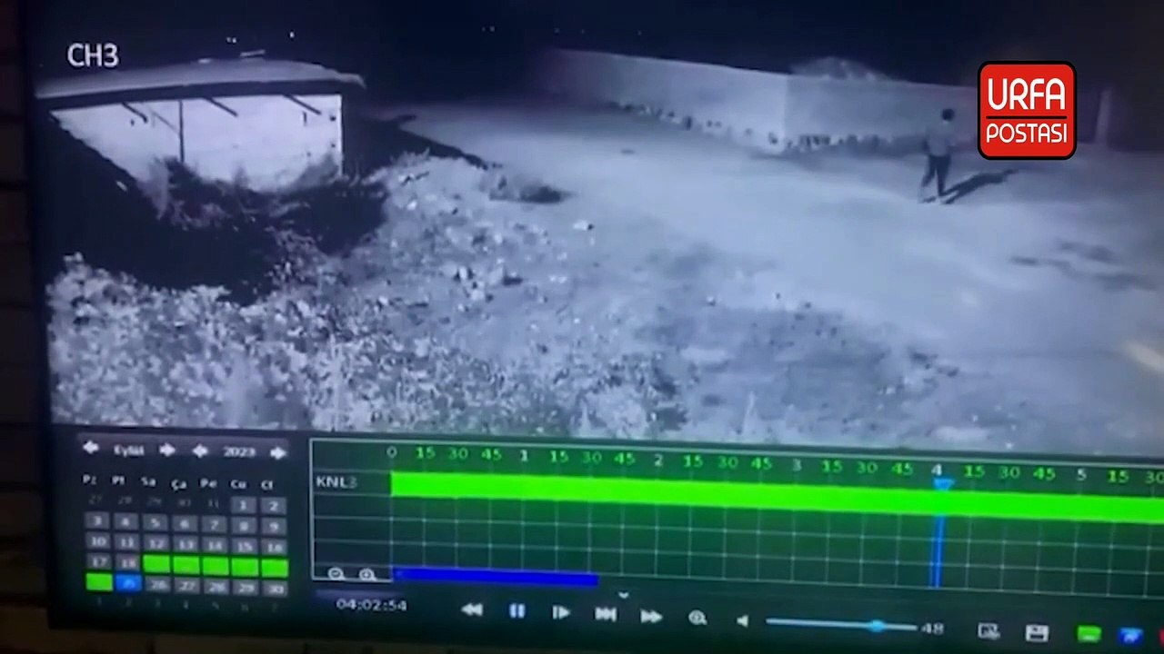 Şanlıurfa'da motosiklet hırsızlığı kamerada