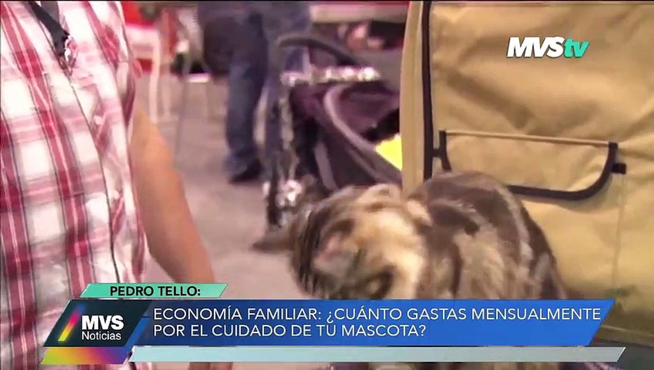 ¿CUÁNTO GASTAS MENSUALMENTE POR EL CUIDADO DE TU MASCOTA?"