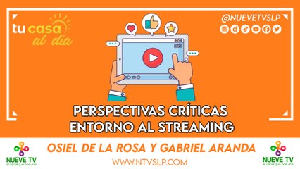 Perspectivas críticas en torno al streaming