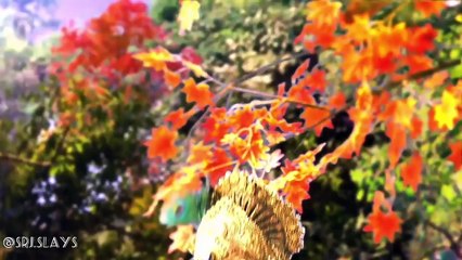 Divine Radha Krishna Song | Celebrate the Love of Krishna