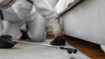 How To Keep Cockroaches Away And Get Rid Of Them Around Your Home, According To Experts