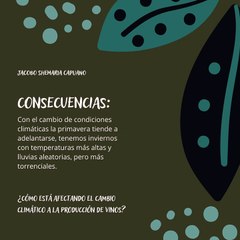 -Jacobo Shemaria Capuano- Repercusiones del cambio climático (parte 2)