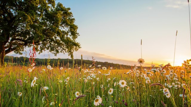 Julien (ADP) : la tension monte entre ses prétendants Thibault et Bastien, “Je ne suis pas venu pour toi !”