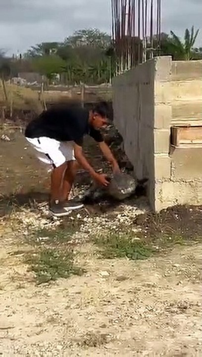 lagarto en colombia _colombia _comedia _humor _bromas _risas _parati _cartagena _futbol _bromas(360P)