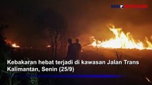 Lahan di Jalur Trans Kalimantan Terbakar, Petugas Berjibaku Padamkan Api hingga Malam