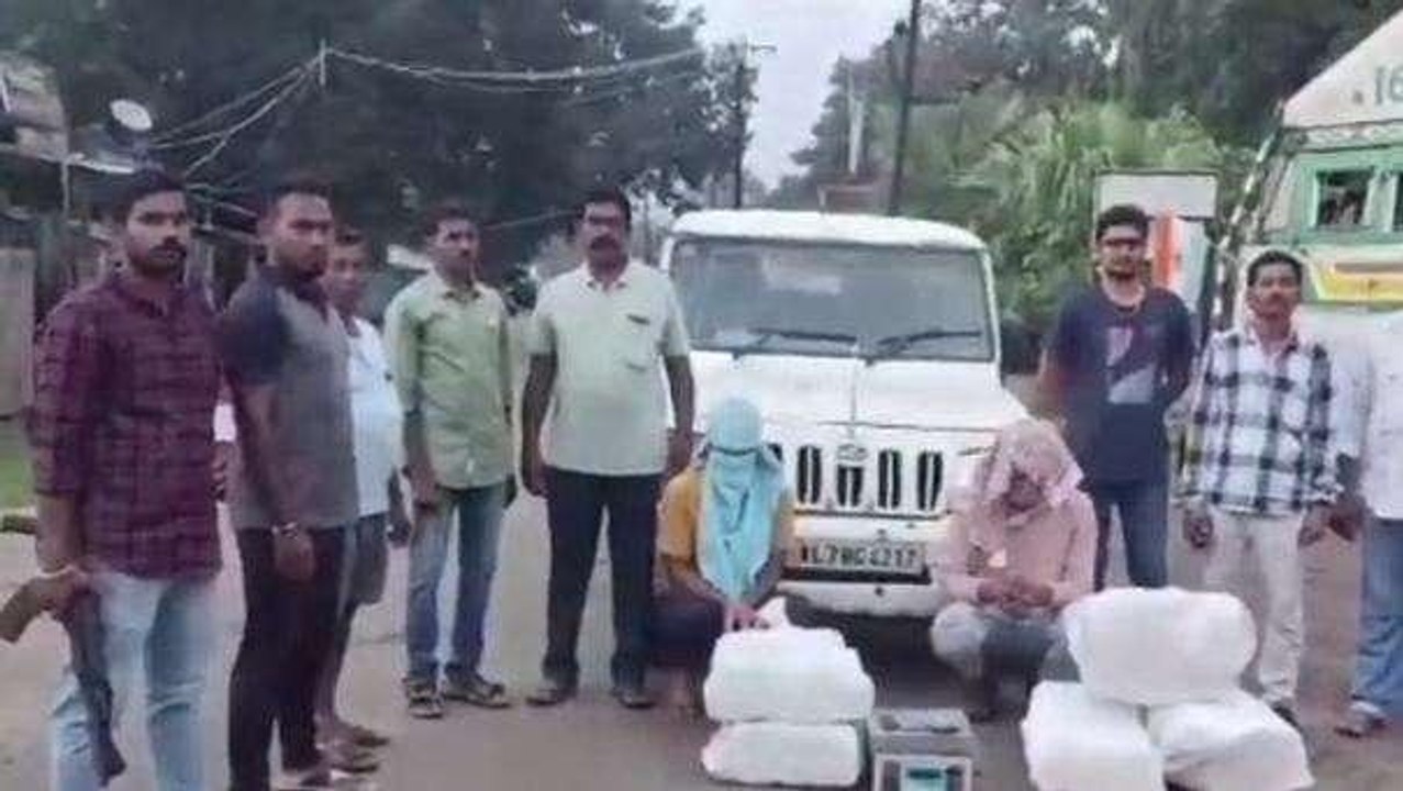 అల్లూరి జిల్లా: భారీగా గంజాయి పట్టివేత