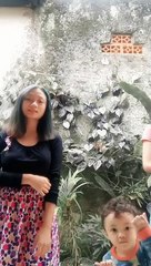 duo kembar -- _tiktok _viral _youtubeshorts(720P_HD)