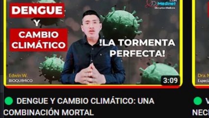 ▷ REVELANDO el CICLO DE VIDA del MOSQUITO del DENGUE y CÓMO SE PUEDE INTERRUMPIR