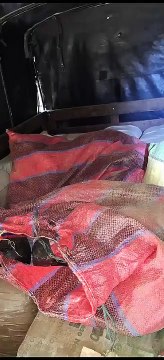 Incautados 1.500 Kilos de marihuana en las vías de Antioquia provenientes del Cauca